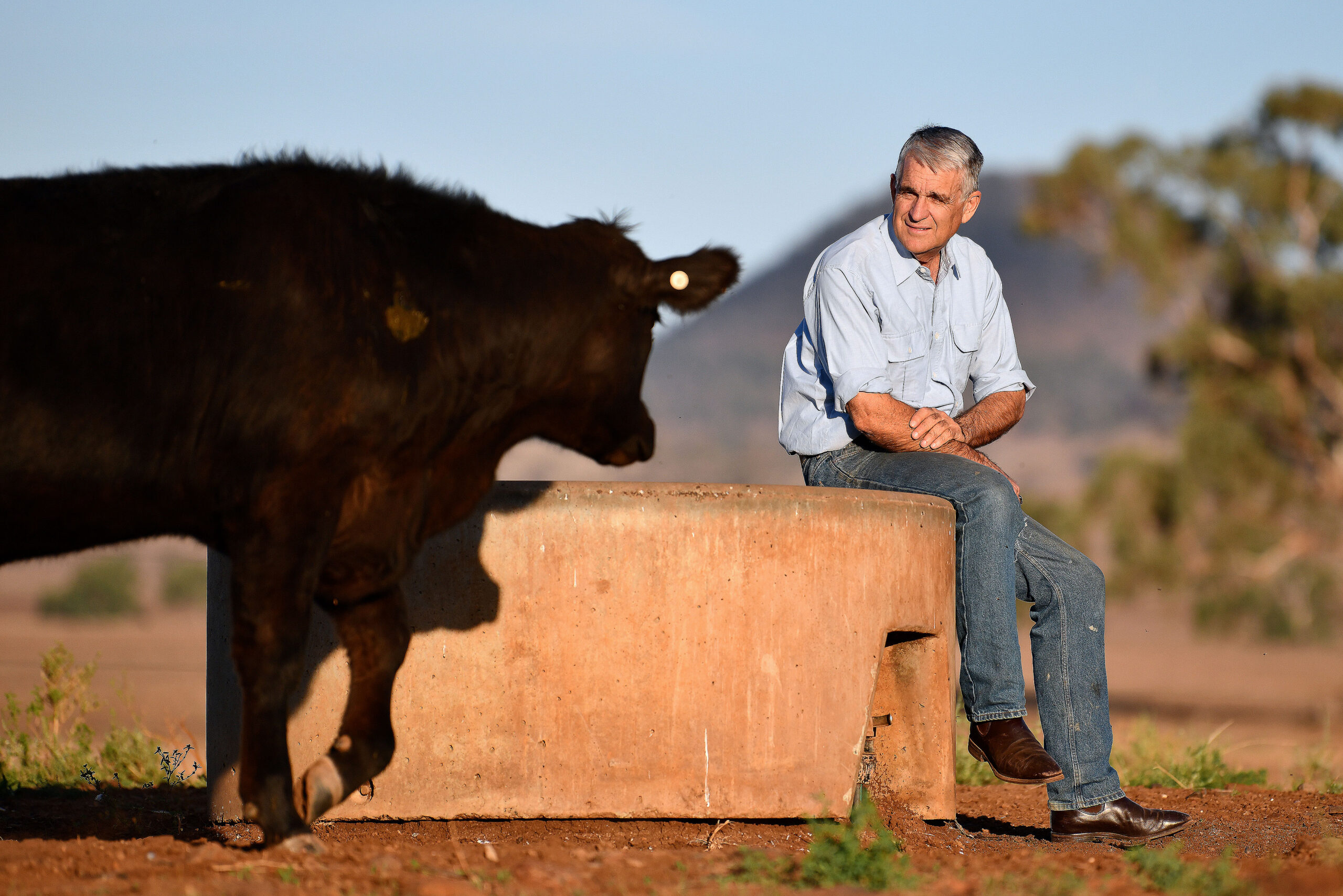 Queen’s birthday honour for regional and rural advocacy