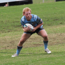 Blue Boars bounce back with dominant win at home against Walcha Rams