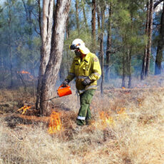 Hazard reduction burns in North West