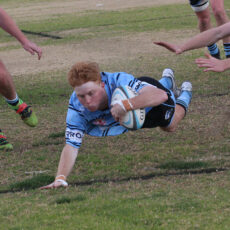 Packer full of praise for the Blue Boars following bounce back win