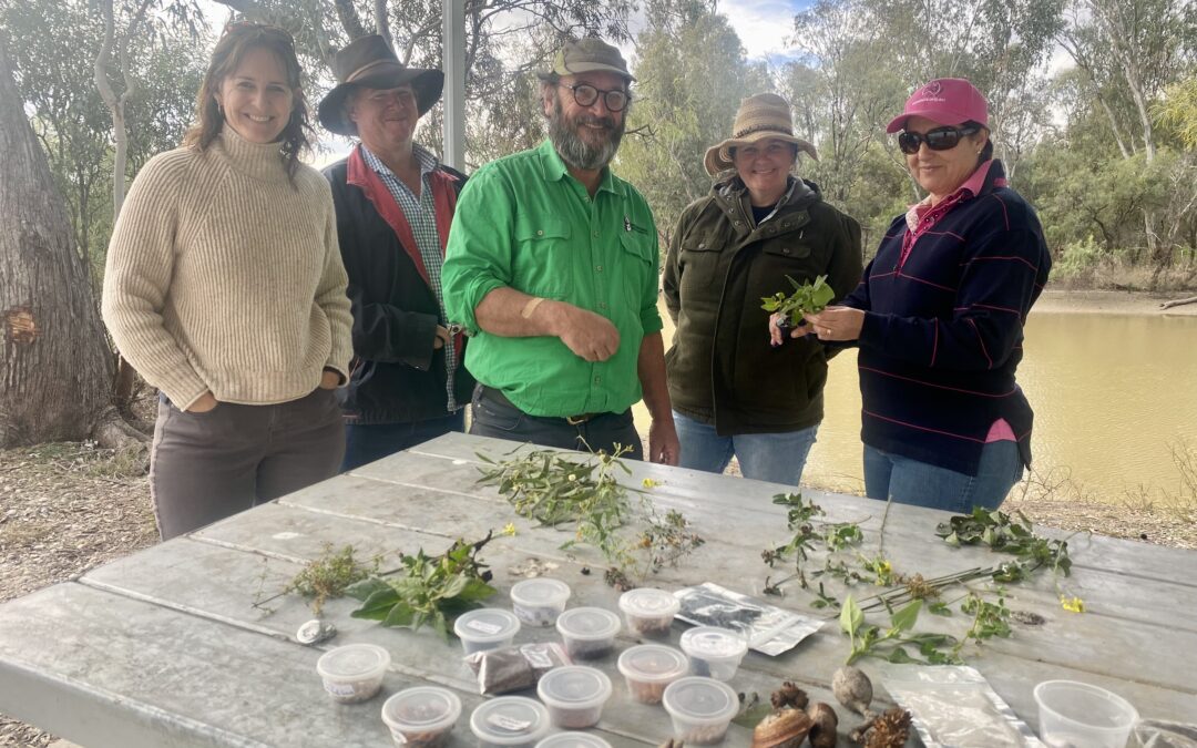 Biodiversity blooms at Yellowbank workshop
