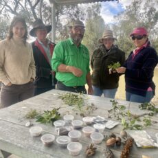 Biodiversity blooms at Yellowbank workshop
