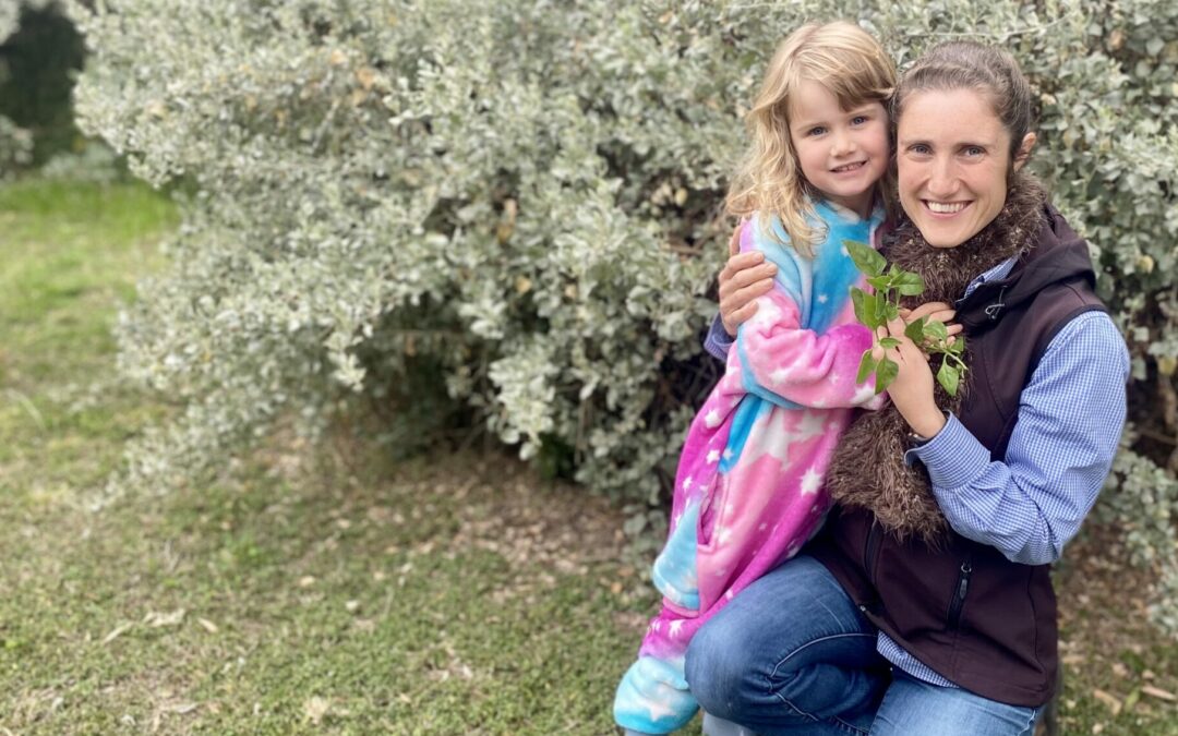 Eat your native greens: a cheaper alternative put on the table