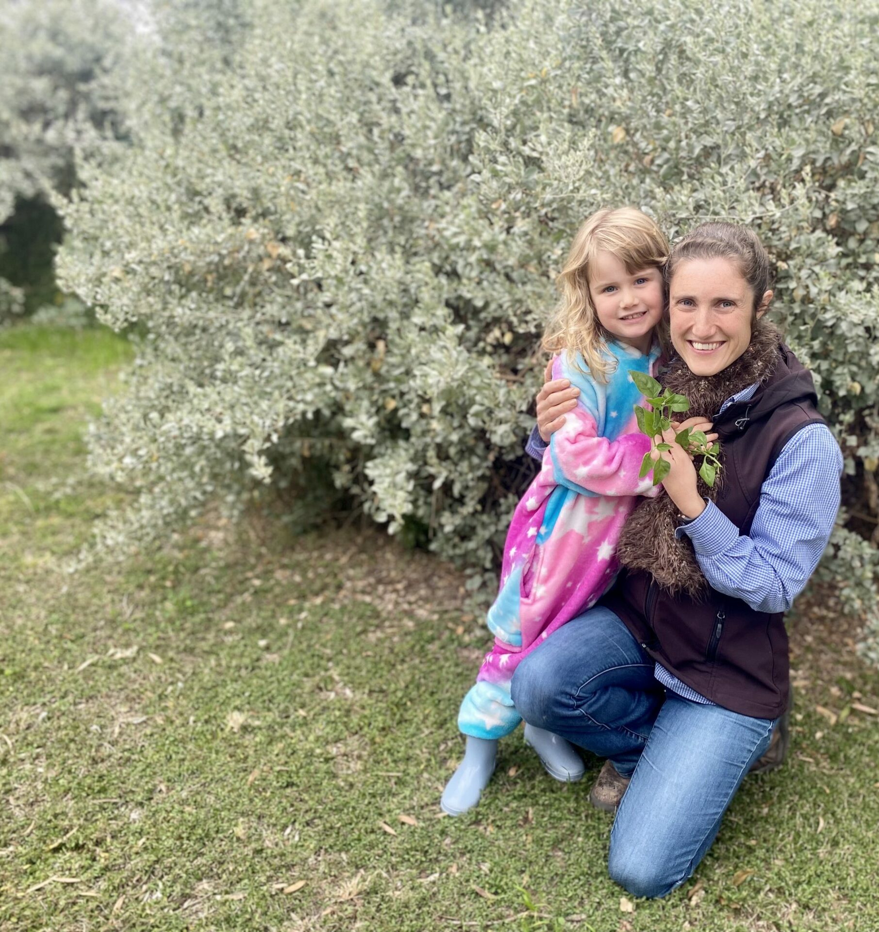 Eat your native greens: a cheaper alternative put on the table