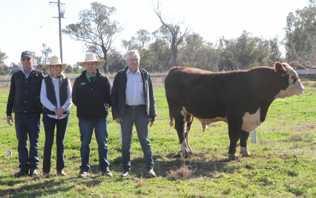 Rayleigh sale reflects industry confidence