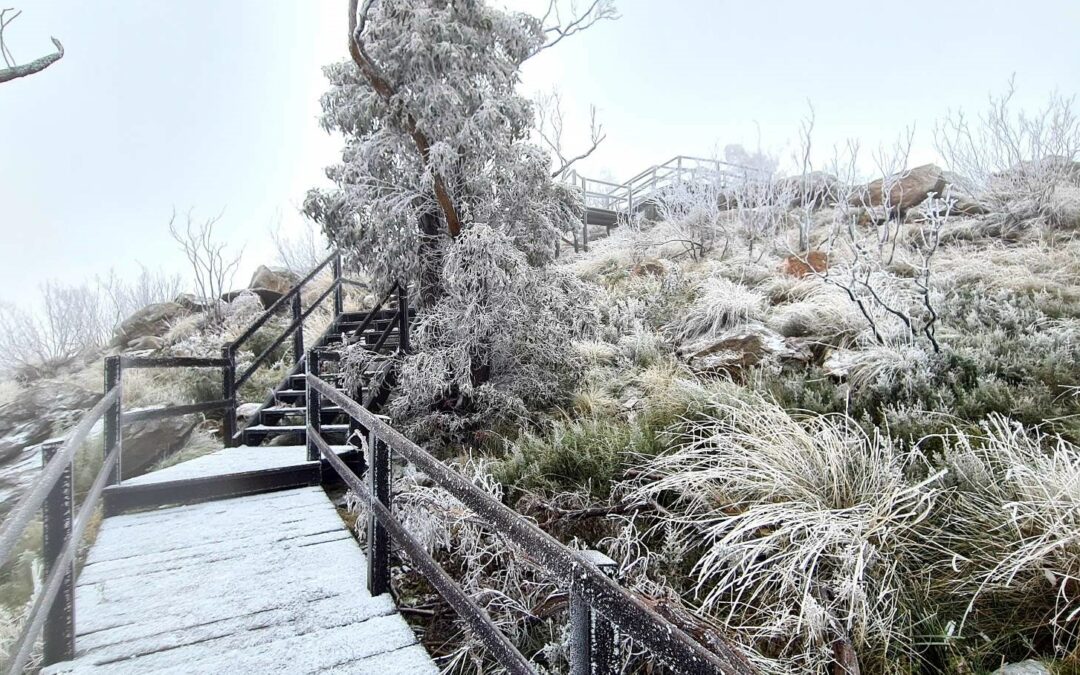 Mount Kaputar transformed into a winter wonderland