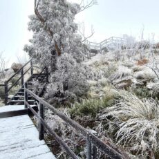 Mount Kaputar transformed into a winter wonderland