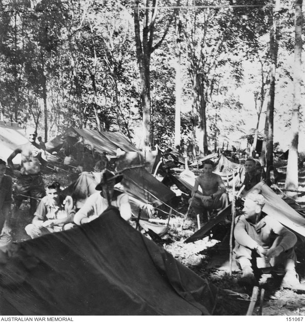 RSL president reflects on Kokoda, Milne Bay