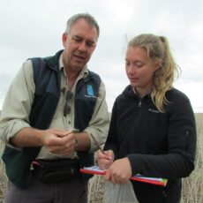 Study confirms baiting regime  effective in reduction of mice
