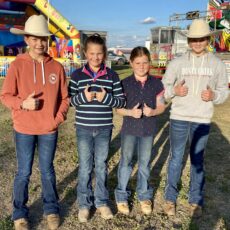 Wee Waa needs new show president for popular community event to go on