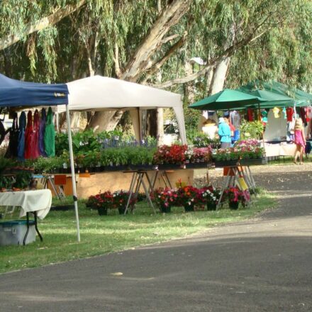 Council to host meet and greet at tomorrow’s community markets