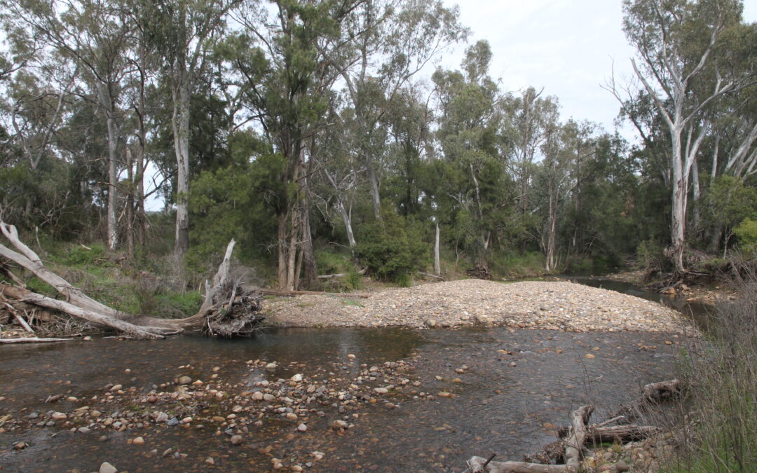 Bullawa Creek concerns raised by Kaputar Road resident