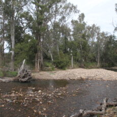 Bullawa Creek concerns raised by Kaputar Road resident