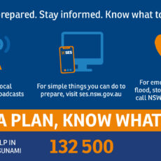 Minor to moderate flooding possible along Namoi