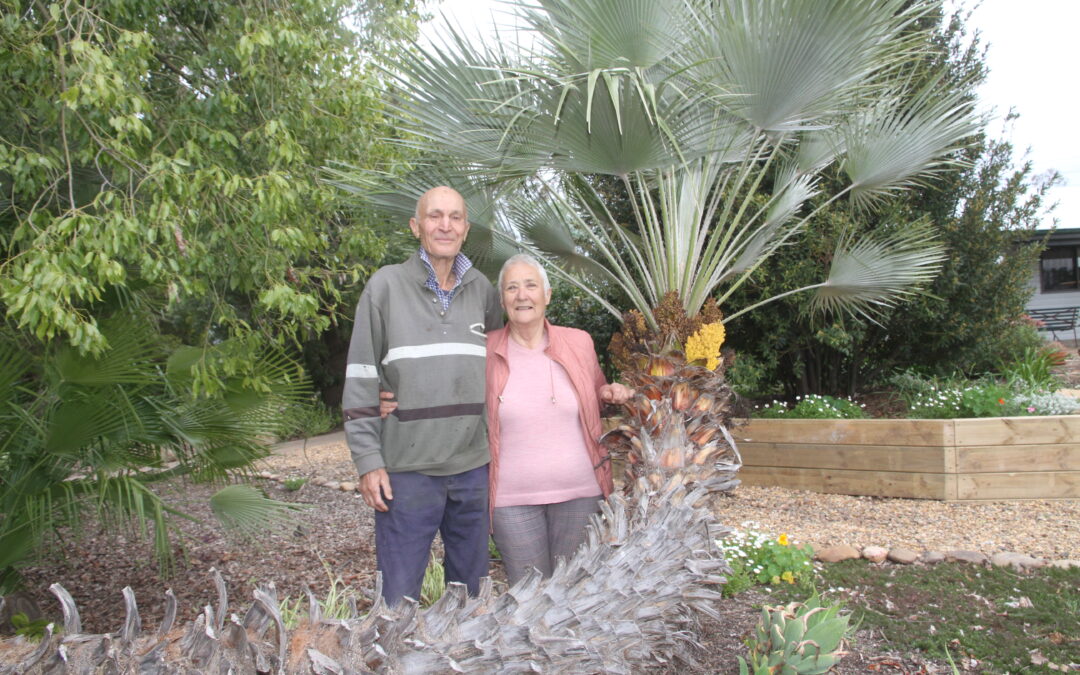 Leculiers happy their path led to Narrabri