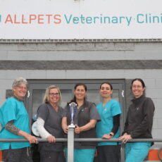 Allpets Veterinary Clinic caring for all creatures great and small