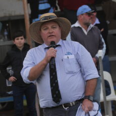 Blue Boars stand out from the rest of the pack in the 2022 campaign