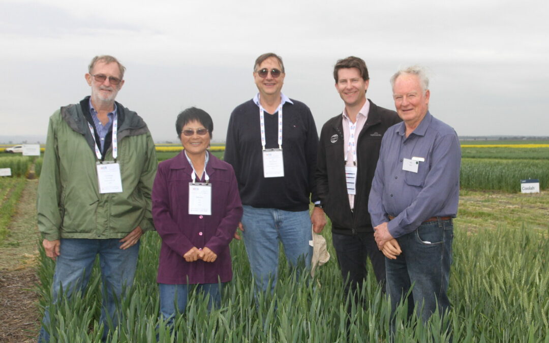 Narrabri hosts national wheat breeding forum