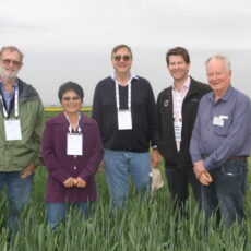 Narrabri hosts national wheat breeding forum