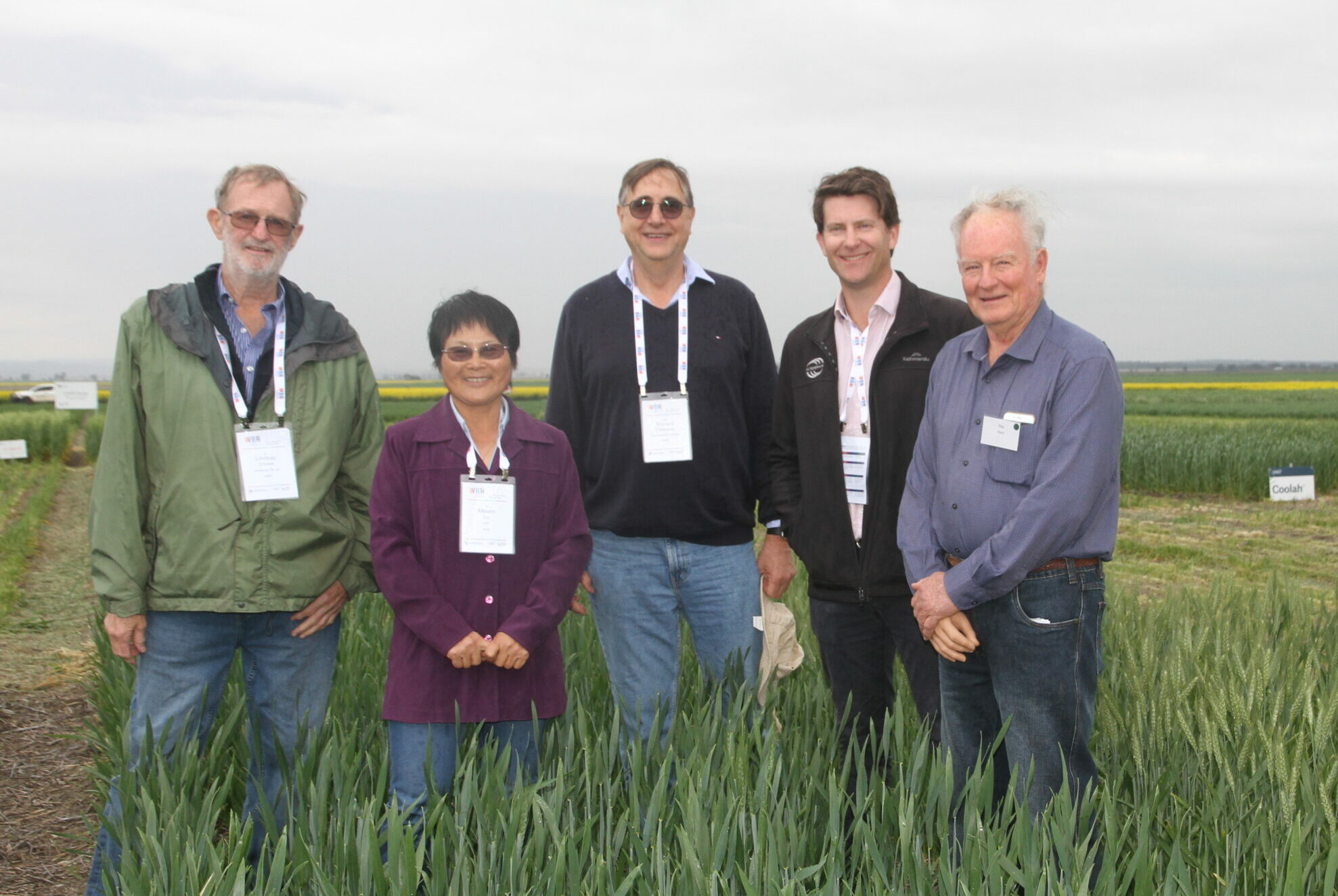 Narrabri hosts national wheat breeding forum