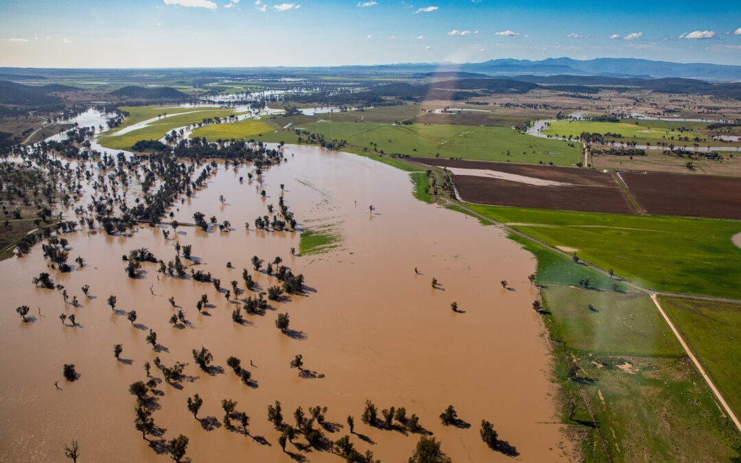 Flood assistance available