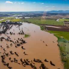 Flood assistance available