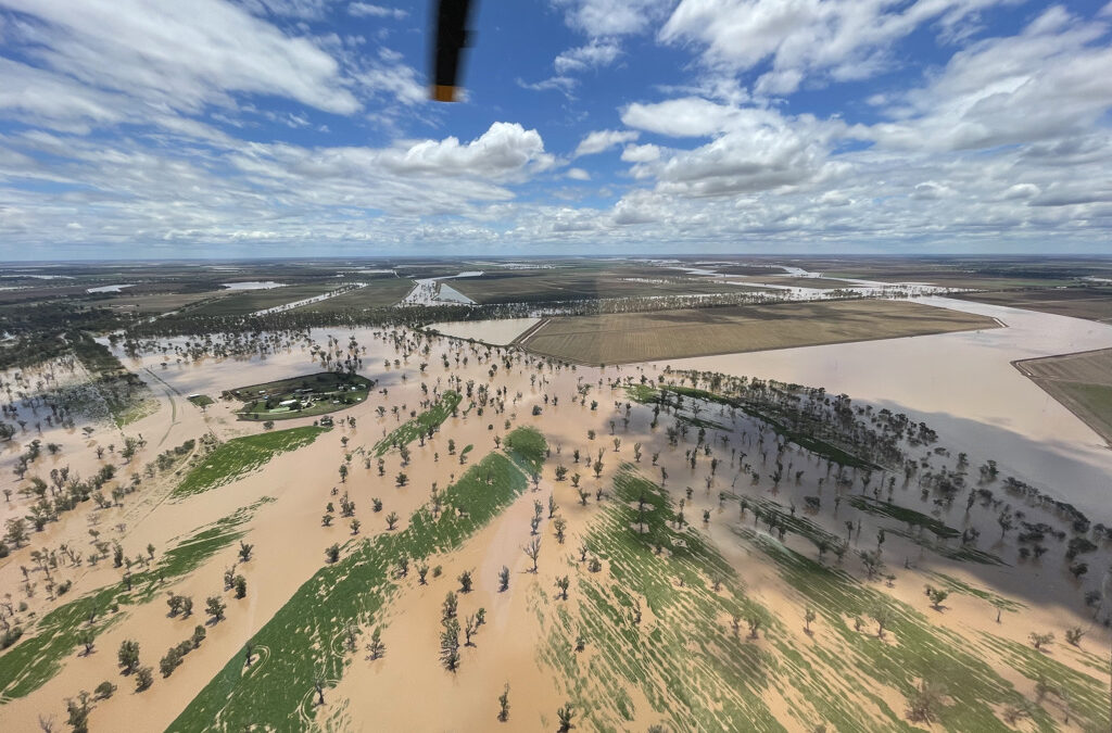 Farmers frustrated as floodplain harvesting regulation is blocked for the fourth time