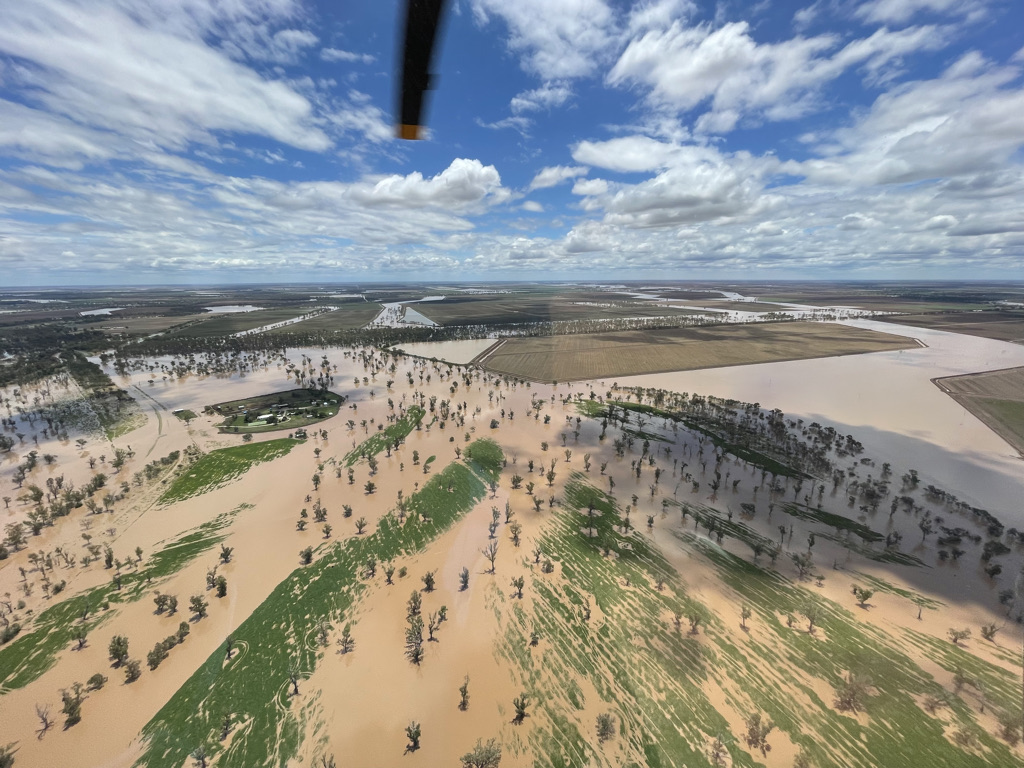 Farmers frustrated as floodplain harvesting regulation is blocked for the fourth time