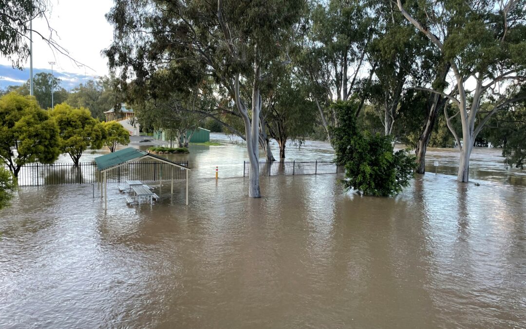 River levels start to drop but flooding to persist in the Narrabri Shire