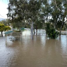 Inquiry looking into insurers’ response to major flood claims