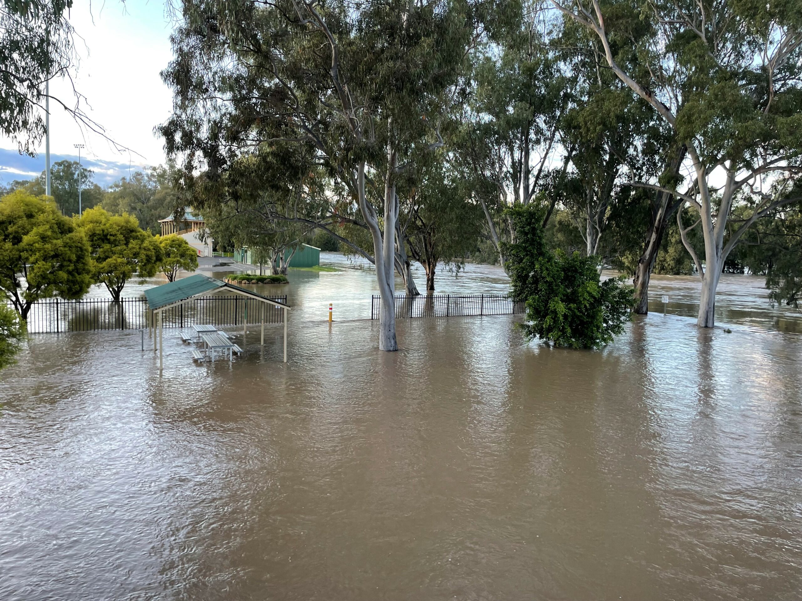 River levels start to drop but flooding to persist in the Narrabri Shire