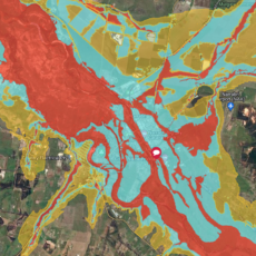 Flood study on display