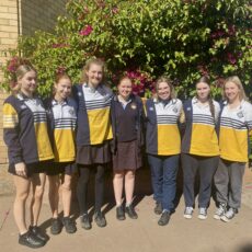 Students begin HSC exams