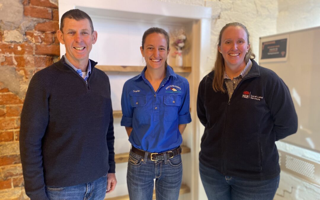 ‘Be concerned but calm’ about FMD