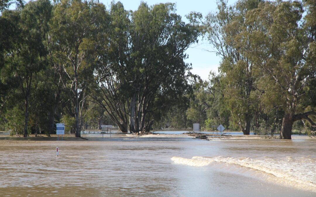 State government announces funds for road repairs