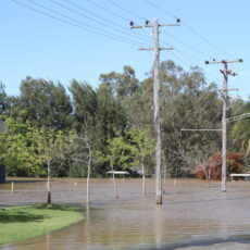 Revised peak of 7.7 metres expected in Narrabri
