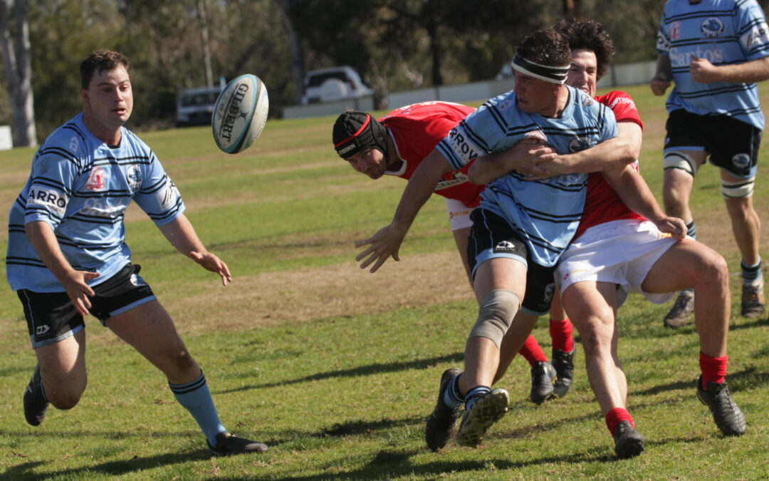 Blue Boars host annual general meeting and begin coach hunt