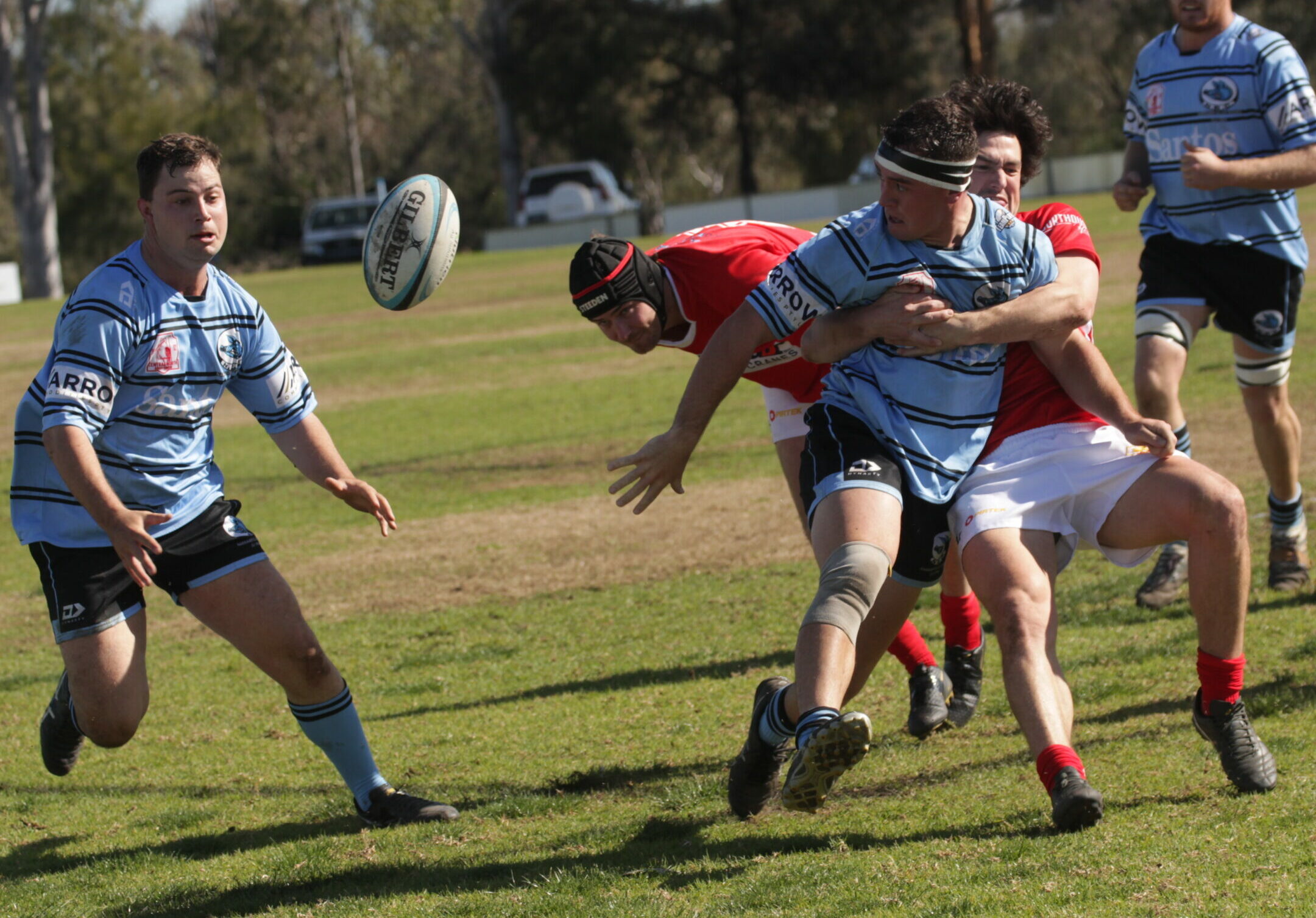 Blue Boars host annual general meeting and begin coach hunt