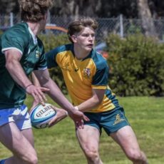 Joey Fowler pulls on the green and gold and makes his mark in Canberra