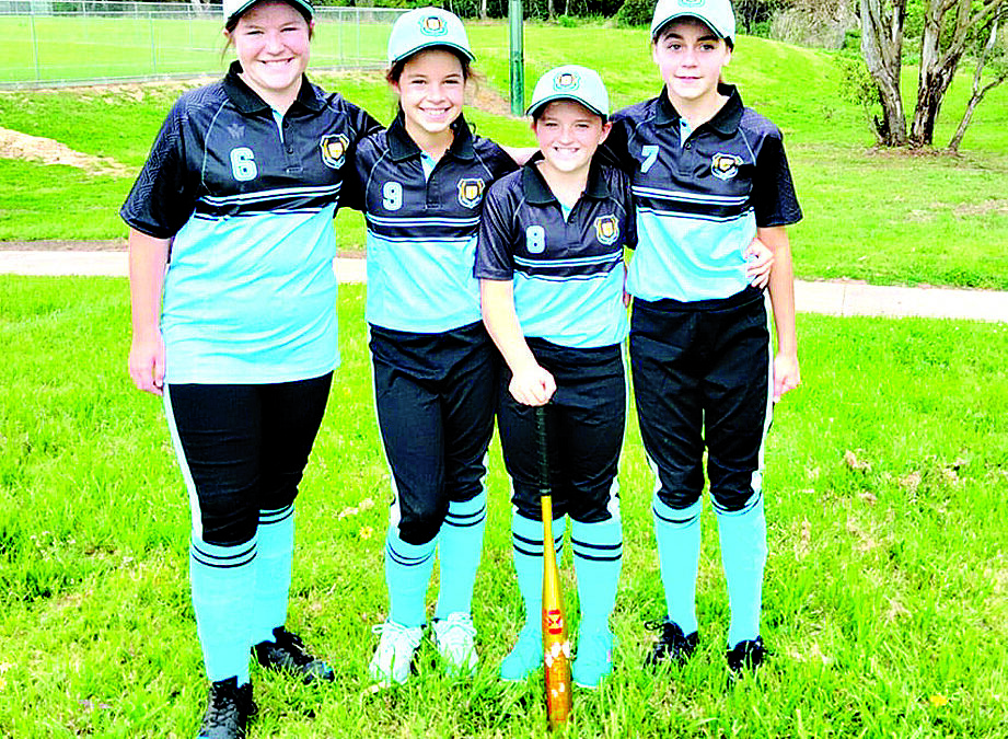 PSSA softball representatives