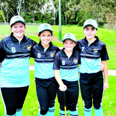 PSSA softball representatives