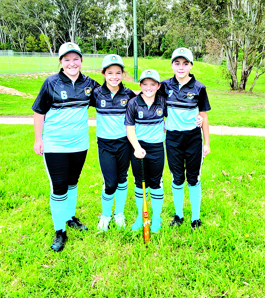 fillable-online-summer-pssa-softball-hambledon-public-school-fax