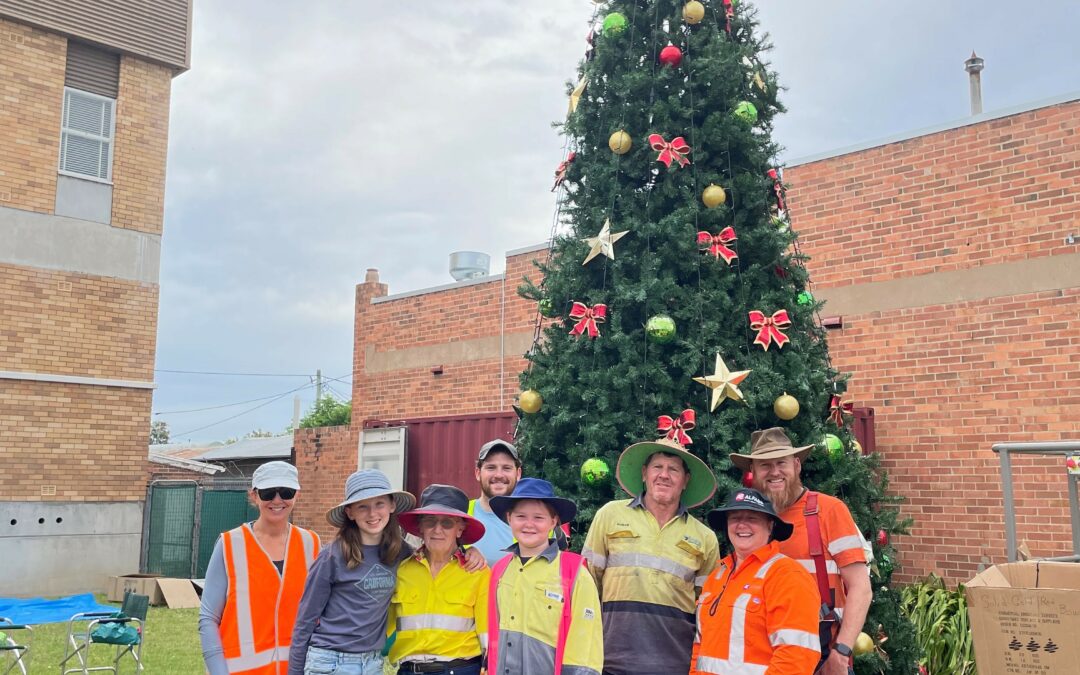 Main street Christmas tree sets the scene for the festive season