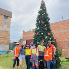 Main street Christmas tree sets the scene for the festive season