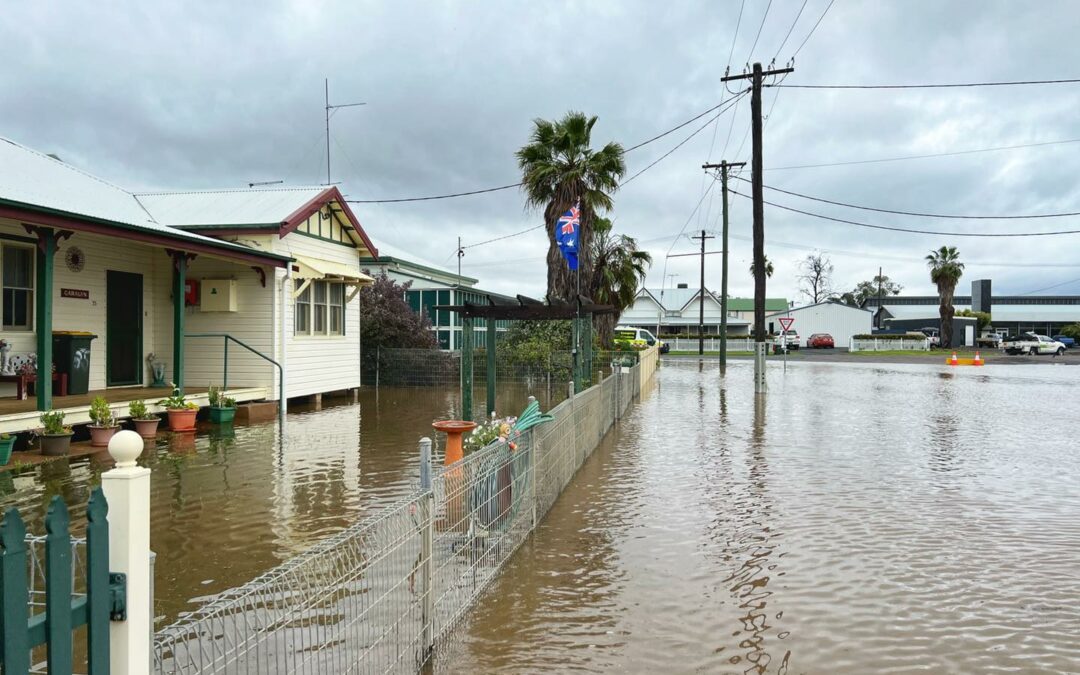 Federal government activates Disaster Recovery Payment