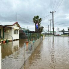 Federal government activates Disaster Recovery Payment
