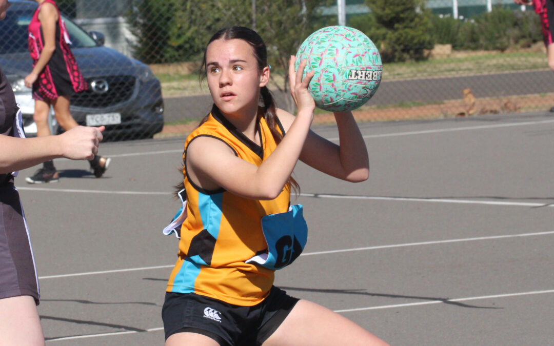 Narrabri Netball Association announces junior representative sides for 2023 season