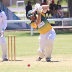 Tatts produce improved performance in four-wicket loss against RSL