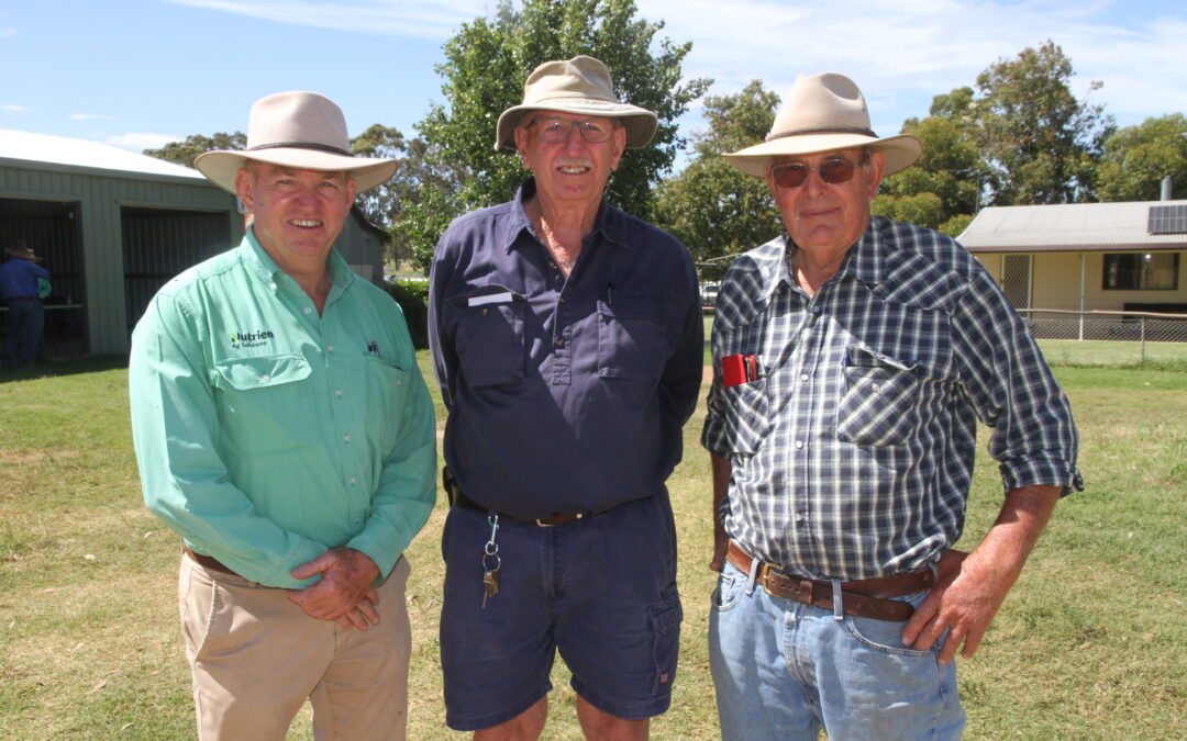 Rosewood clearing sale a success | PHOTOS