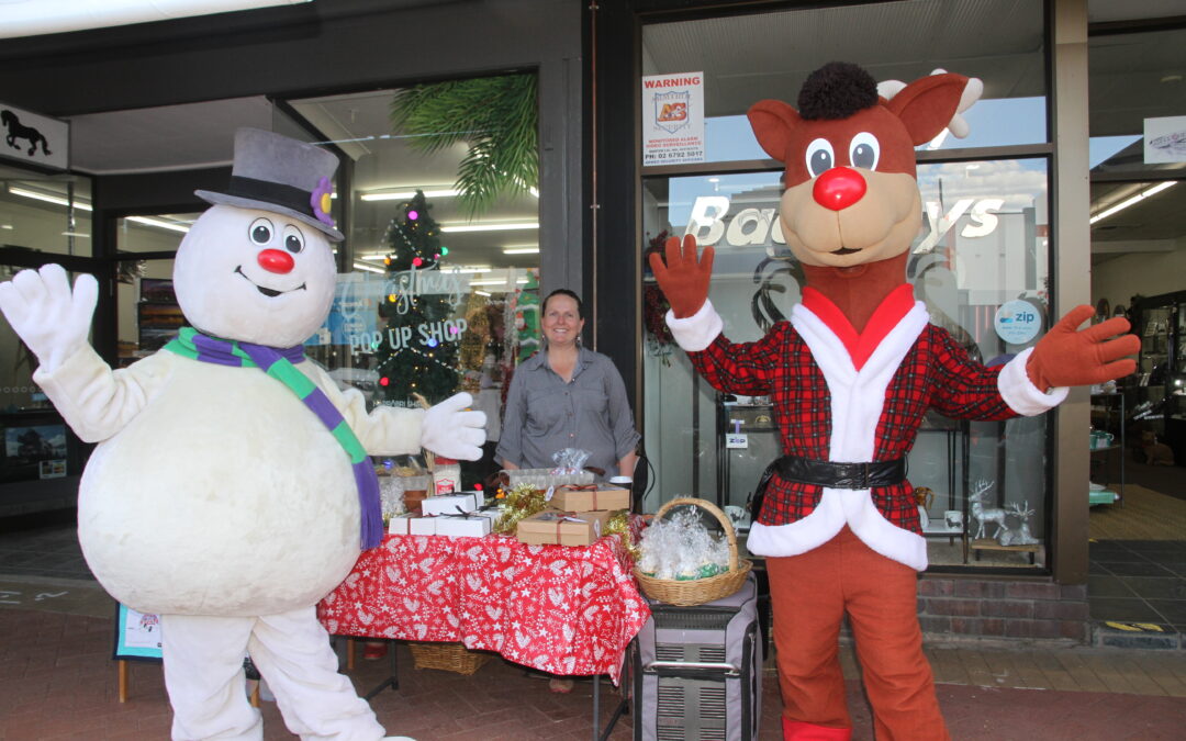 Thousands turn out for Narrabri’s Christmas street carnival